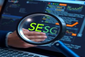 免费网站SEO1：揭秘网站优化技巧，助你快速提升排名